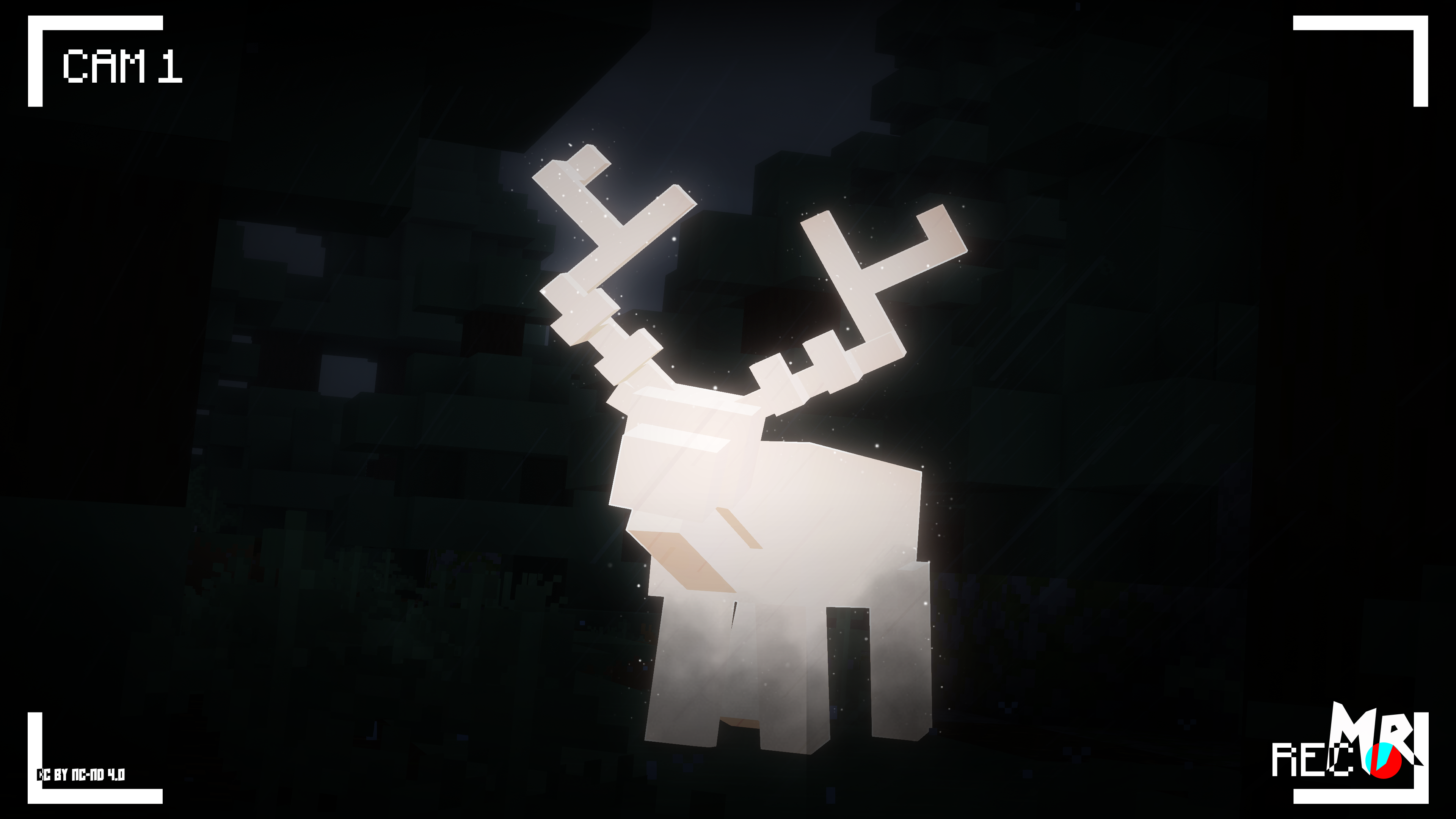 White Reindeer